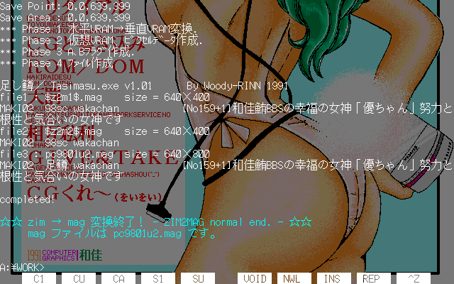 800lineのMAG形式を900lineのZIM形式から生成するバッチファイル、ZIM→MAG変換 (C)HirofumiIguchi 画面