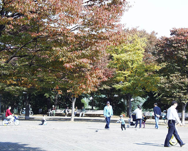 さて、C1400Lですが、今日は天気もよろしかったので、朝、近くの公園に試し撮りに行ったのでありますヽ(^.^;)丿