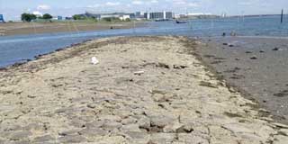 海老取川と多摩川のぶつかる辺り、ここまで水引いてるのを見たのは初めてかも…な訳で、先まで歩いてみる(^_^;)