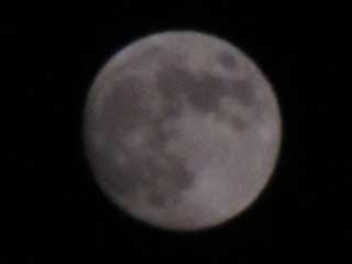 うまく撮れず…暗くなってしまったヽ(^.^;)丿うさぎさんが写ってくれなくてねぇ…(^_^;)でもFullMoonは明日みたいだヽ(^.^;)丿