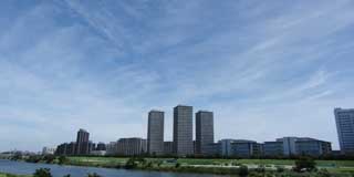 多摩川沿い、ガス橋辺りから丸子橋方向…雲は多めながら、先日よりは青いトコがよく見えている気がする…(^_^;)
