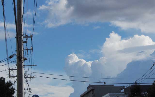 晴れてたかと思えば雨が降り、また晴れて雨が降る…(^_^;)その間に垣間見えた青空…(^_^;)あぁ…電線が邪魔ですわっ!ヽ(^.^;)丿