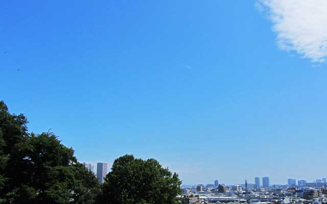 台風一過の空、真っ青では無いにせよ、スカっとしててよろしい…色々飛んでるけどw(左の2つの点はトンボだったりw)