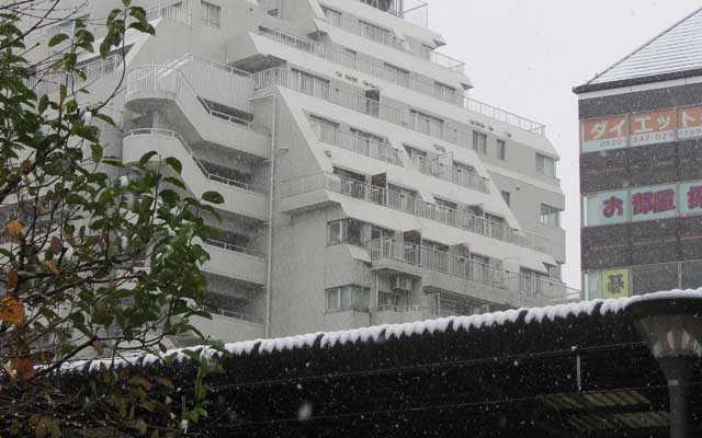 薄ら雪の荻窪…(^_^;)昼前頃ですが…お仕事終わって帰る頃には、ちょっとだけ晴れ間も見えましたが…既に辺りは暗くなり始めで冷たかったヽ(^.^;)丿家に着いたらとたんに眼鏡が曇ったしw(暖房が入ってた訳では無い ^_^;)