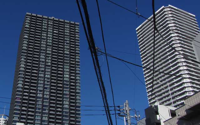 明日が今日のようなお天気ならいいのになーヽ(^.^;)丿と、思う訳です…(^_^;)寒くなるのは勘弁だけどw