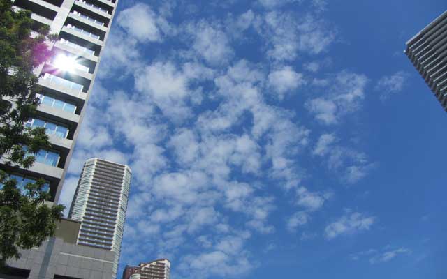 秋空っぽくはまだないモノの、気温が高い割には涼しく感じられた日中…ヽ(;_;)丿