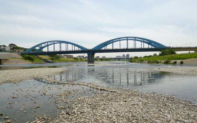 【多摩川川縁散歩】2018年5月21日 で、恒例行事とゆーか…川の中洲まで…今日は水が少なかったかな?雨降ったのはチョイと前ですし…(^_^;)