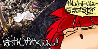 すちゃらか絵日記(絵日記ブログ)[2019年3月20日]