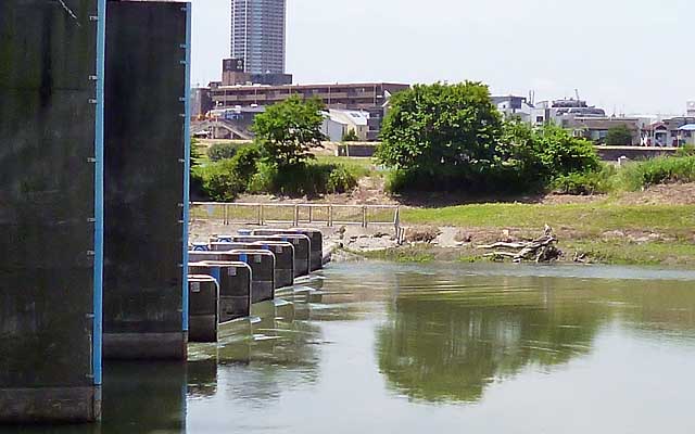 水量が少ない時は川底の砂利が見えてて、ちょっと中に入れるのだが…(^_^;)今日は川底見えて無いですなヽ(^.^;)丿