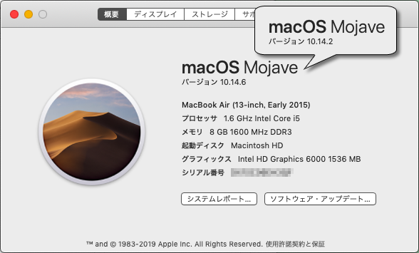 10.15へのアップデートの他に、10.14.6へのアップデートもあったので、こっちだけ今回はやっておいた…(^_^;)