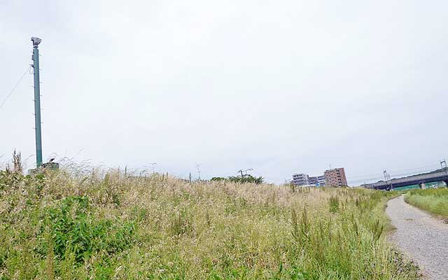 左の鉄塔の先には河川監視カメラ、土手の上に立ってて、この左は道路です(^_^;)去年の台風の時はこのカメラの映像を確認してて、右の道が水没した後に避難したかと…(^_^;)