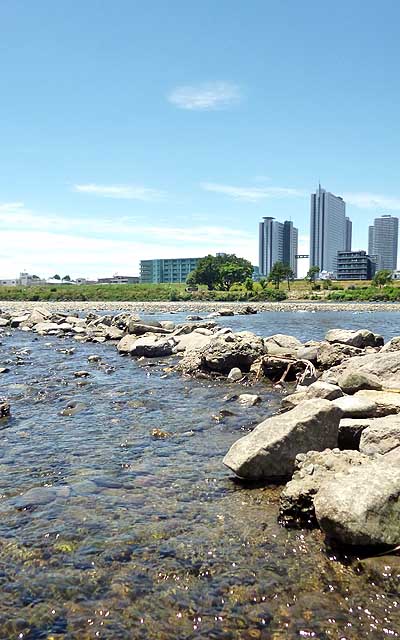 丸子橋、神奈川に戻るトコロ…(^_^;)時間かかってた割に距離は稼げてなかったのであったヽ(^.^;)丿