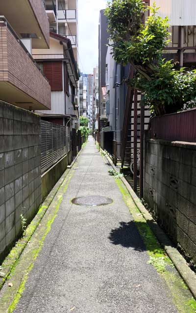 長く細い道…(^_^;)400〜500m一直線…GoogleMapには出てきません(国土地理院の地図では出てくる ^_^;)元は何なのかな〜…と、調べてみると、どうも水田のド真ん中を突っ切ってた、用水路かあぜ道の跡みたいで…(^_^;)だから長いのかな?(^_^;)