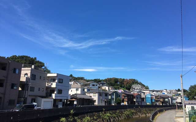 クソ暑のあほ空である＼(T_T)／これで気温低くて湿度も低かったら、すげー気持ちイイ天気なのになーヽ(^.^;)丿つか、関東でも40度越えがあったとかどーとか…うわぁぁ…