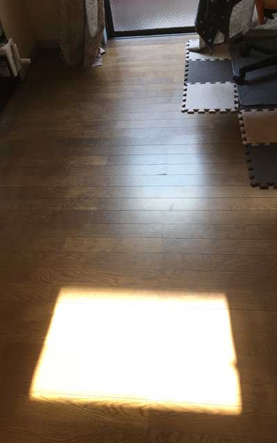 午前中部屋にいたせいか、またはお日様の角度が変わってきたのか…部屋の中に日射しの枠が…ここだけ暖かいヽ(^.^;)丿