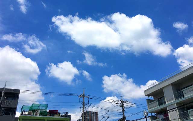 この天気ですもの、雨続きでほとんど歩けてなかったんですもの、歩くしかないぢゃないですかーっ!ヽ(^.^;)丿とりあえず2時間半歩いておいた…(^_^;)