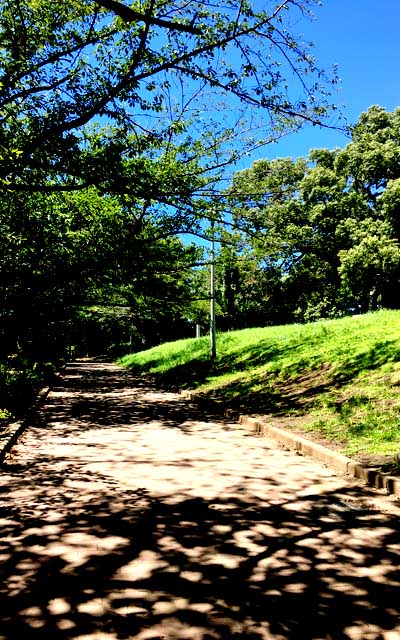 ちょっと補正かけとりますが…このあほ空…背景に使えるかなーヽ(^.^;)丿