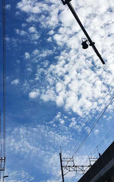 日中だんだんと雲が張ってきた感じ…予定では明日お出かけ、明後日お医者、木曜がいつもの作業日…天気は大丈夫かのーヽ(^.^;)丿