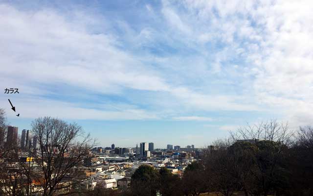 お振込みがあったので、一山越えて振込みに…ヽ(^.^;)丿この時点では空の青い部分残ってたけど、帰る頃にはどよどよに…黒点はカラスみたいだヽ(^.^;)丿