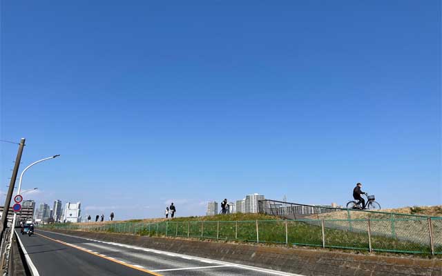 多摩川沿いの道路、地上とお空の境目辺り…薄黄色く見えるのは花糞だ、花糞に違いない、そー決まったのっ!ヽ(^.^;)丿