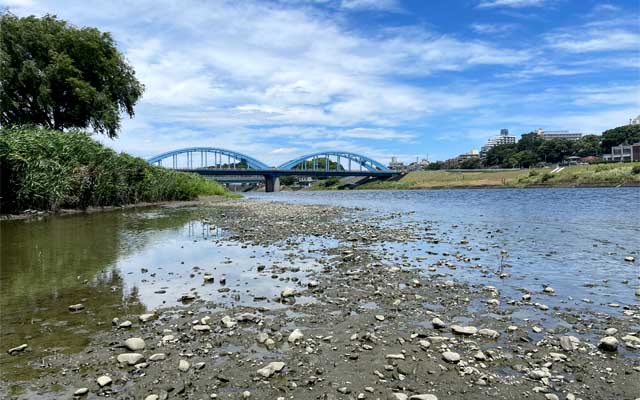 水辺はそれなりに涼しいので、このまま進めるかと思いましたが、途中で上がれなくなると面倒なので、ここまでで引き返す(^_^;)