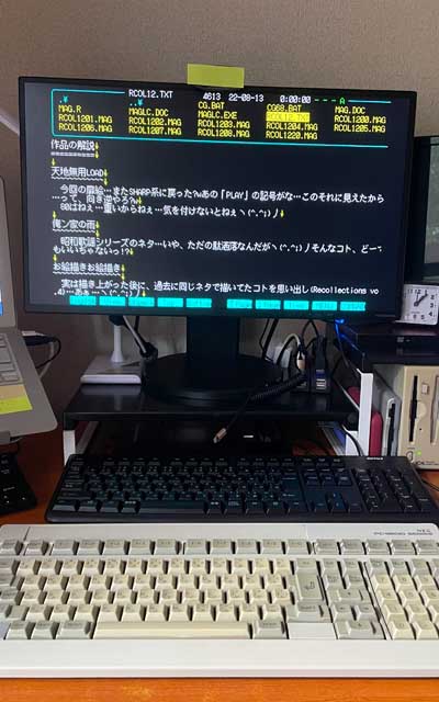 えぇ、何のコトはありませんよ、ファイラでファイルの中身を確認中のPC9801ですよ、日常のごくごく当たり前な風景ぢゃないですかー＼(^o^)／