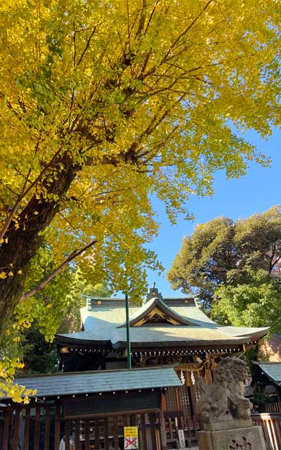 近所の神社、これだとまだ秋っぽい感じなんだが〜、実際暖かいし…が、カレンダ的にはもう、今週中に12月になるでなぁ…(^_^;)