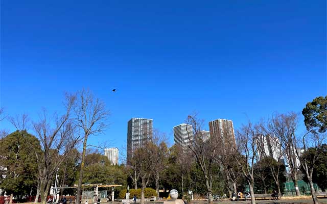 このあほ空だったのに、午後からは曇り出したなどと…寒空っぽく見えますが、そこそこ歩いてるので身体は熱くなっとりました…(背中がジンワリする程度には… ^_^;)