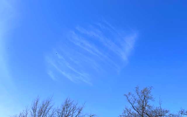 あれは花糞の集団だ、あれは花糞の集団だ、あれは花糞の集団だ…ヽ(^.^;)丿雲やて…でもそー見える位に鼻にキテる…＼(T_T)／