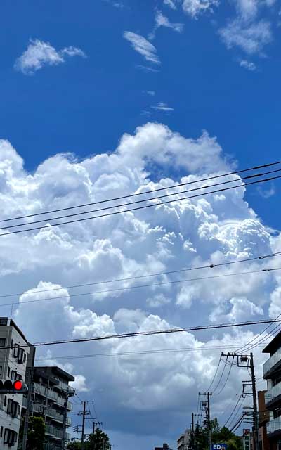 道中見かけた雲、降らせる雲では無いと思いつつもちと警戒…(^_^;)その後は雲が広がり怪しい風も吹き、夕方近くになって雨降りと…でもその後に日射し戻ったヽ(^.^;)丿