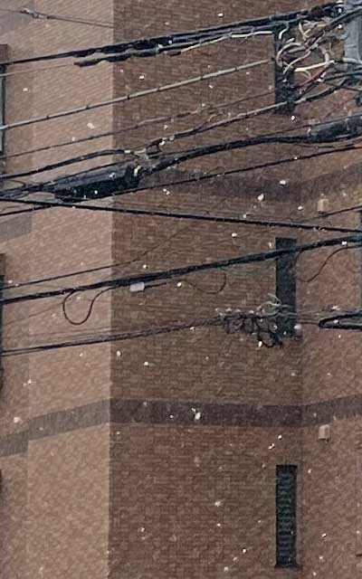 ちと撮れそうなトコまで行って撮ってきた(^_^;)家の窓からはほとんど雪が見えなかったので…(^_^;)