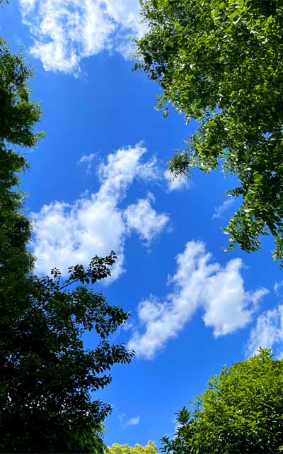 日中は日中で暖かく…ここだけ見たら夏だがやヽ(^.^;)丿