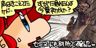 すちゃらか絵日記(絵日記ブログ)[2025年7月17日]