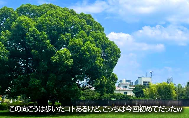 まだ通れる道はいぱーい残ってるかもしれんし、通れなくなる道も出てくるかもしれん…(^_^;)