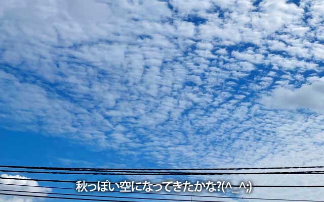 なんとなく秋な感じのする空、今日は暑くもなく寒くもなく…適度に背中がジワル感じの陽気であたーヽ(^.^;)丿