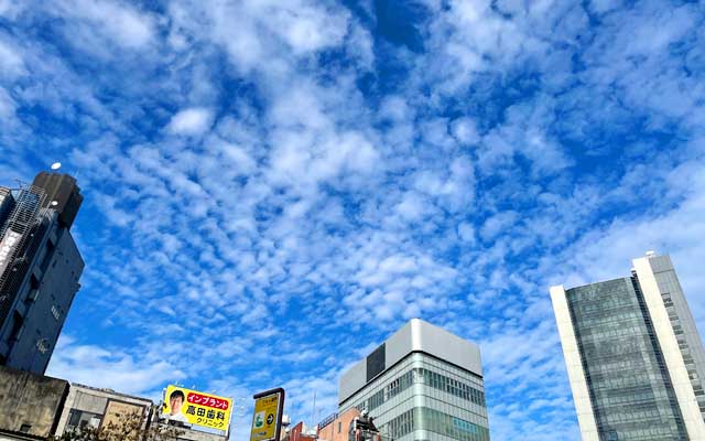 本日も秋っぽいお空でありましたのコトよヽ(^.^;)丿