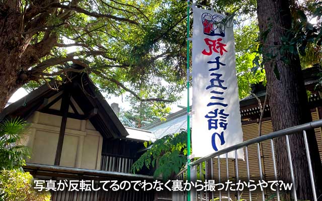 気候はおかしくても季節の行事は変わらずでありゅヽ(^.^;)丿