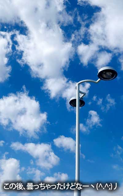 このまま晴れるのかと思いきや、その後は雲が厚くなってきて…さっぱりしない天気でしたなーヽ(^.^;)丿