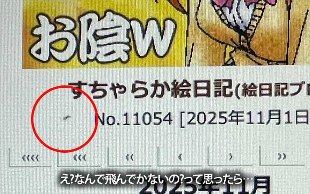 ディスプレイの上を何か動いてるのに気付き、指で弾いたのに飛んで行かなくて…え?