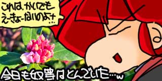 すちゃらか絵日記(絵日記ブログ)[2026年2月15日]