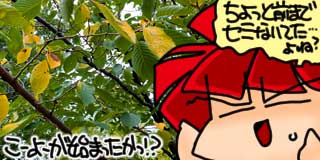 すちゃらか絵日記(絵日記ブログ)[2026年10月4日]