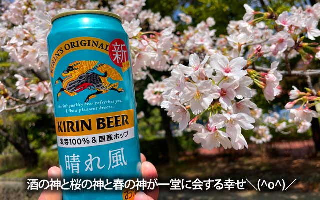 そんな訳で、めでたくツーショットですよ＼(^o^)／とは言え、まだ満開状態では無いんですよねー、明日も厳しいか?来週中間辺りが満開かもですーヽ(^.^;)丿