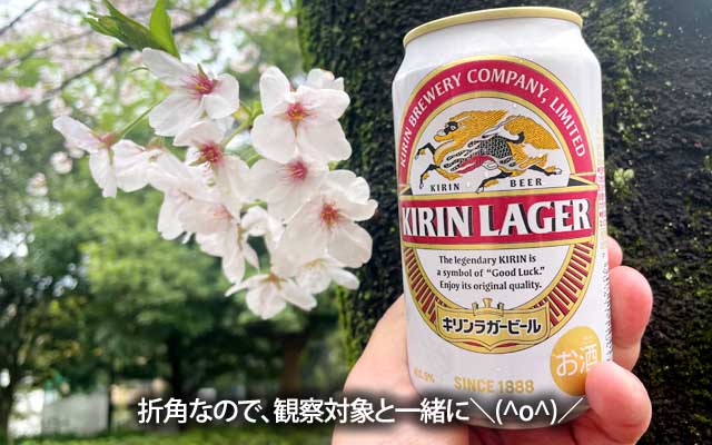 まだしかーり残ってましたので、折角ですし、ツーショットしておこうと…(^_^;)