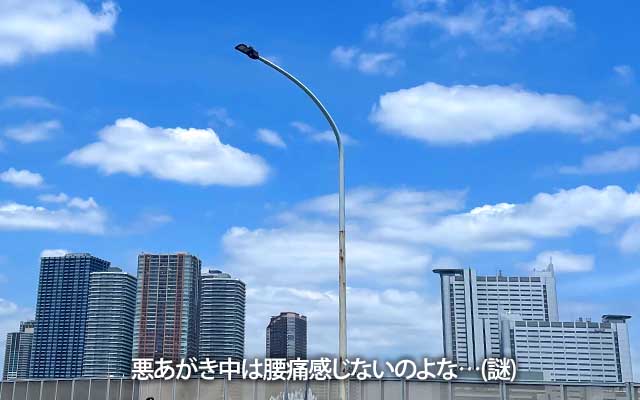 腰痛は相変わらずなのですが、歩いている分には痛くない…これが止まって落ち着いたりすると次に動かす時にイタタタ…と、なる(^_^;)柔軟性が衰えてるってコトかいな?＼(T_T)／
