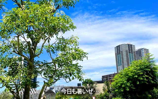 こんな雲もありましたが午前中は基本あほ空、午後にちと曇りだしましたが、その後晴れ間は戻ったよーです(^_^;)